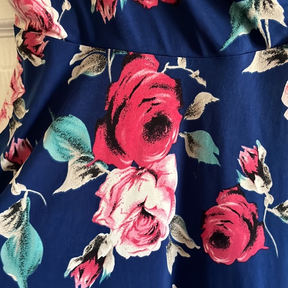 Gilli |  Mini Skater Dress with Antique Roses - Picture 3 of 4